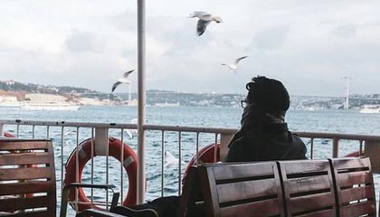 萌宠大丰收活动指南：全新宠物全收录