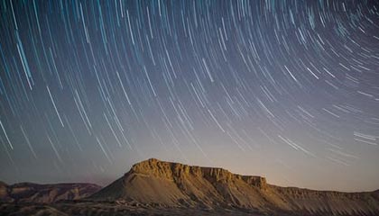 萌宠大丰收活动指南：全新宠物全收录